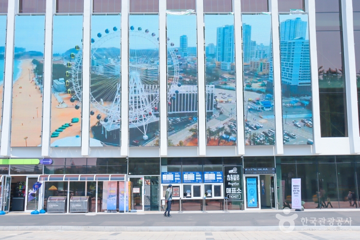 속초해수욕장 대관람차(속초아이) 8