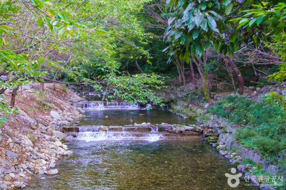 강당골 계곡