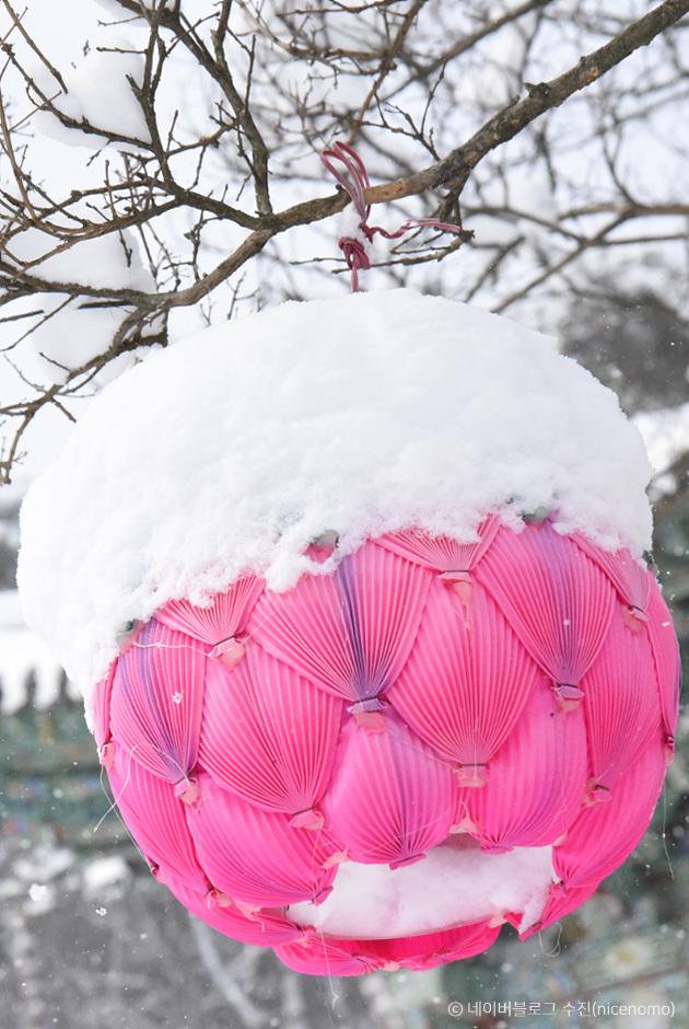 눈이 쌓인 연등