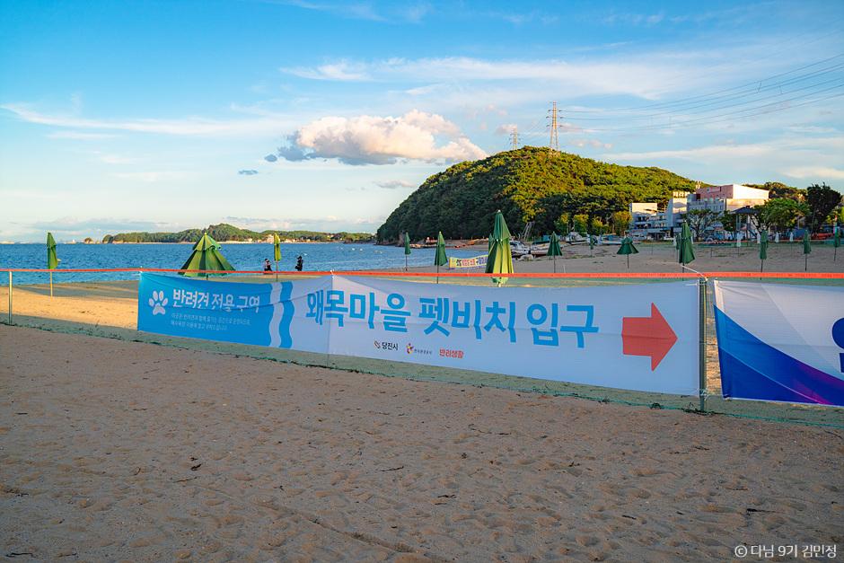 충남 당진 가을 가볼만한곳 애견 동반 여행 삽교호 맛집 바다 :: 삽교호관광지, 왜목마을, 면천읍성, 신리성지> 여행기사 ...