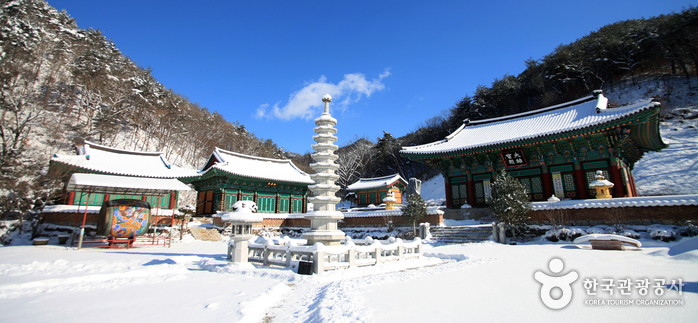 흰 눈이 소복하게 내려앉은 금당사