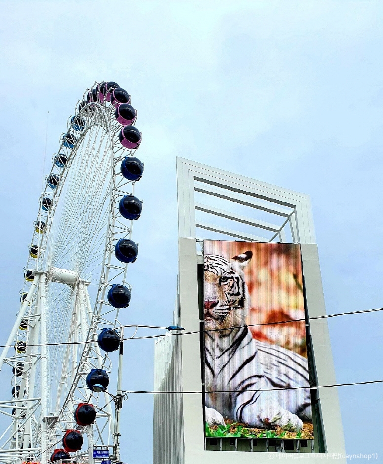 속초해수욕장 대관람차(속초아이) 6