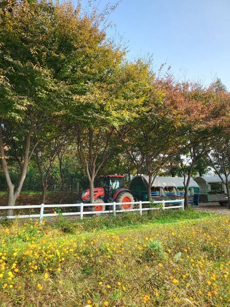 아그로랜드 태신목장 13