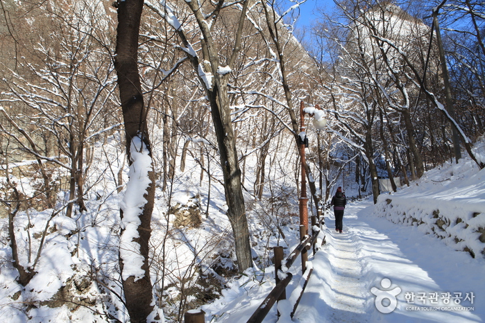 탑사에서 은수사 가는 길 