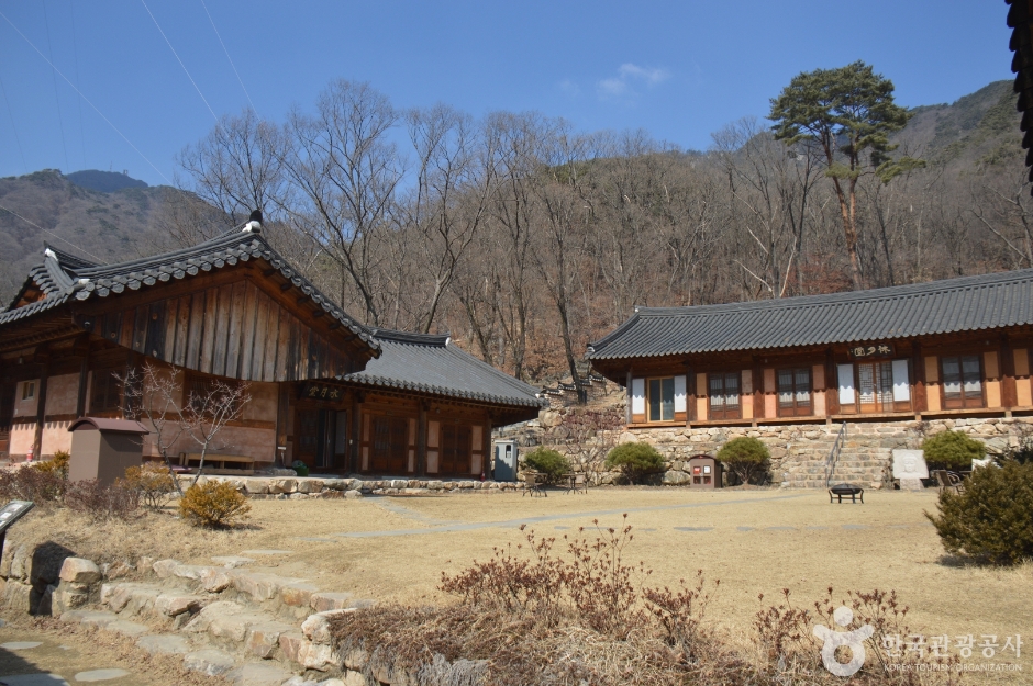 용문사(용문산)  3