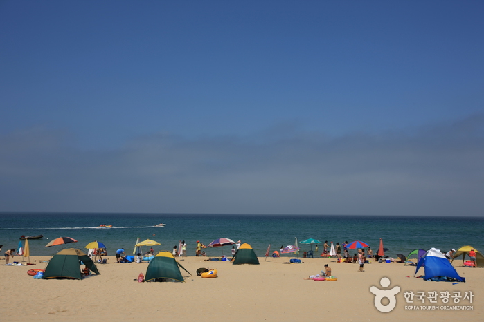 묵호등대 가는 길에 만나는 벽화 여행 가볼만한곳