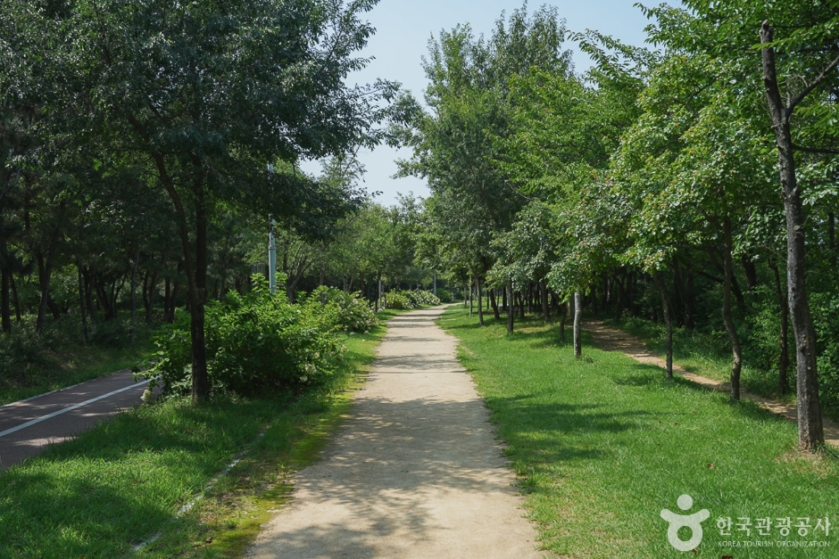 새아침공원|열린 관광 모두의 여행