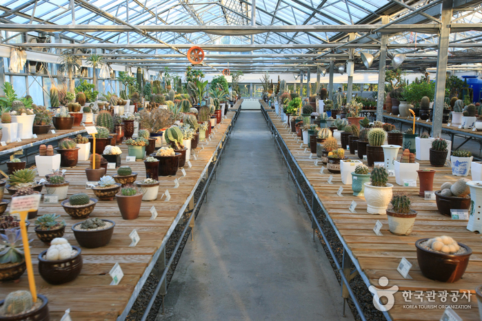 꽃, 그리고 물속 생물들과 함께 조용한 사색을. 여행 가볼만한곳