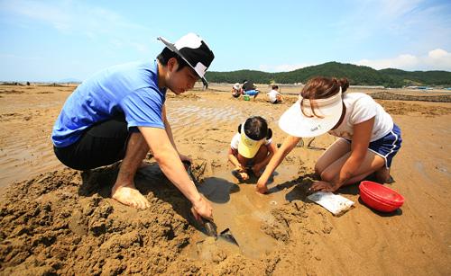 충남 서천 월하성마을 맛조개잡이 체험> 여행기사 :대한민국 구석구석 ” style=”width:100%”><figcaption>충남 서천 월하성마을 맛조개잡이 체험> 여행기사 :대한민국 구석구석 </figcaption></figure>
<p style=