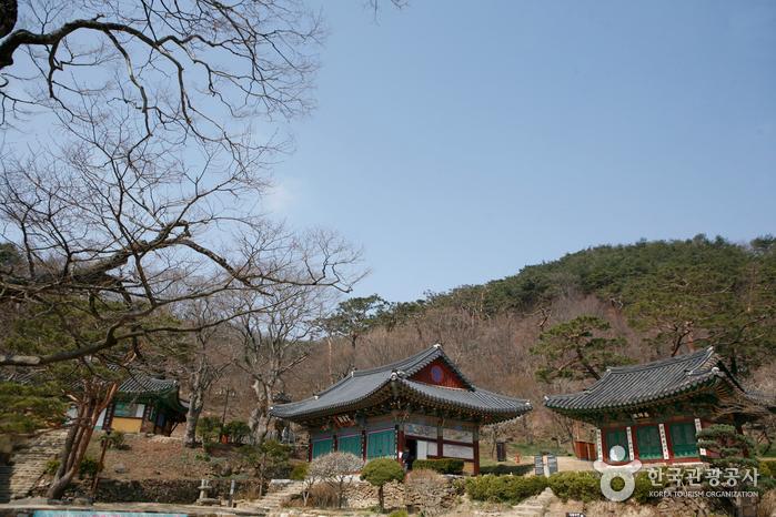 아도화상이 창건한 고찰, 전등사 경내