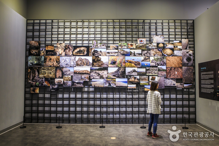 남북한의 다양한 천연기념물 표본과 명승을 소개하는 천연기념물센터