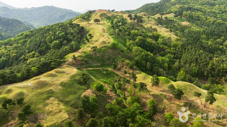 <span>고령</span> 지산동 고분군