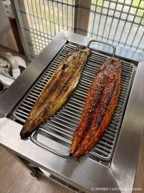 돌집민물장어