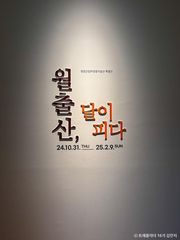 영암군립하정웅미술관
