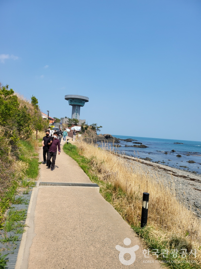 경주 양남 주상절리 전망대  7