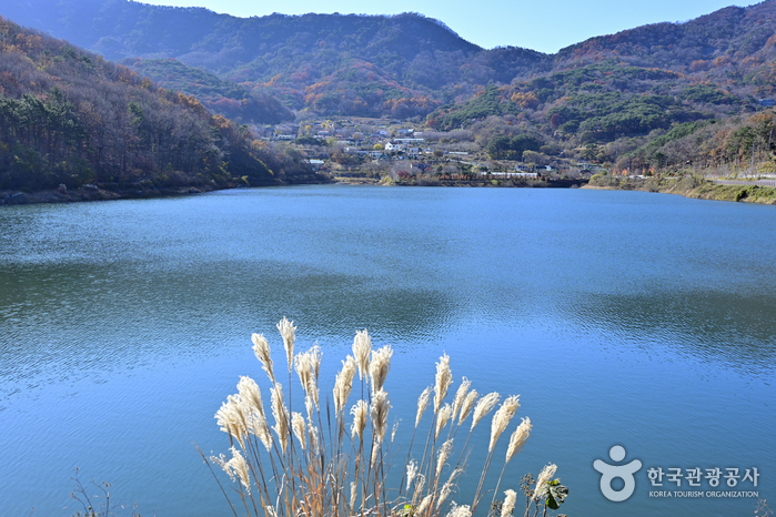 진례저수지 추천 여행 리스트 : 대한민국 구석구석