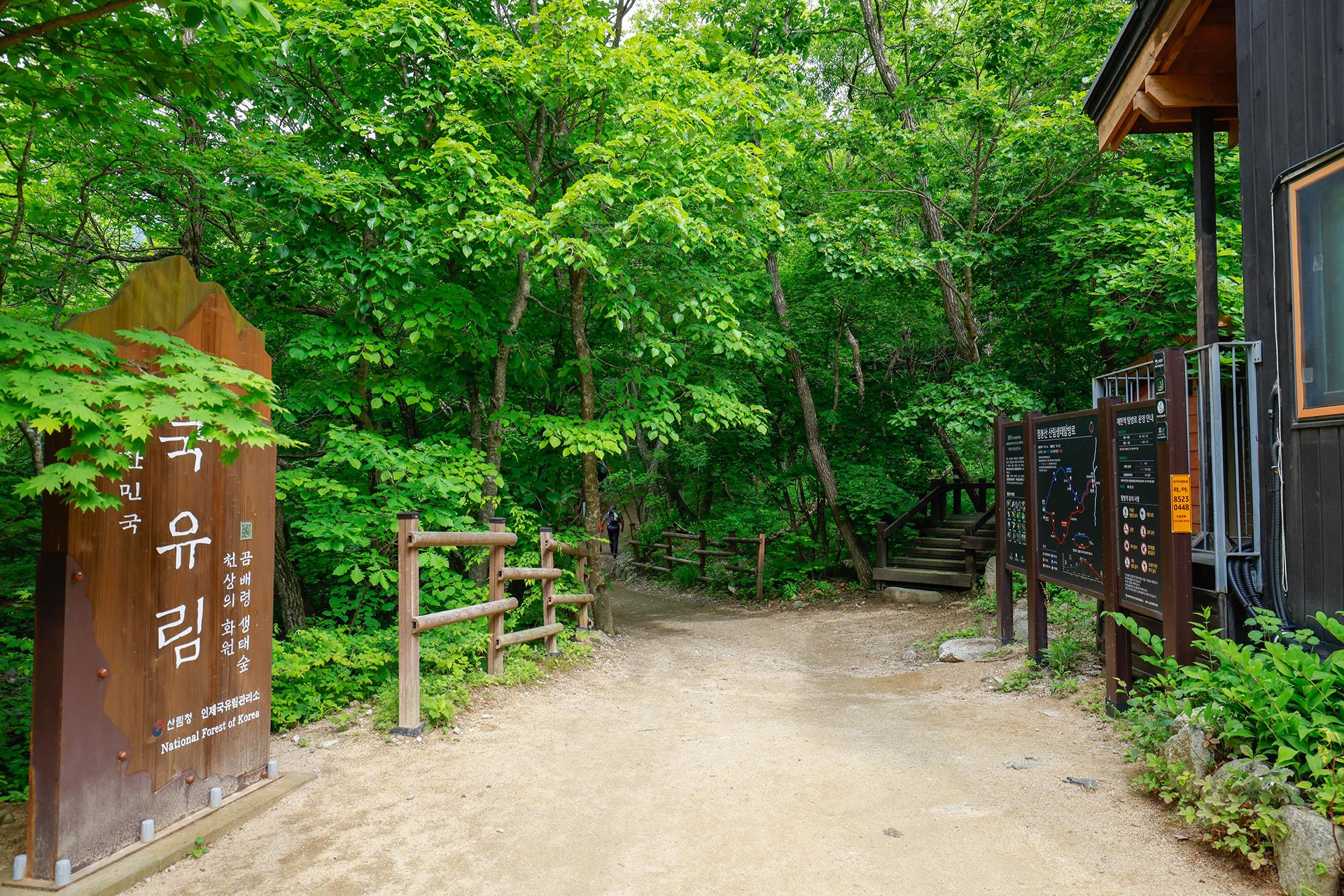 점봉산산림생태관리센터 탐방로 시작점