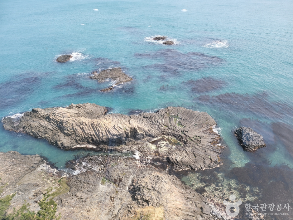 경주 양남 주상절리 전망대 6