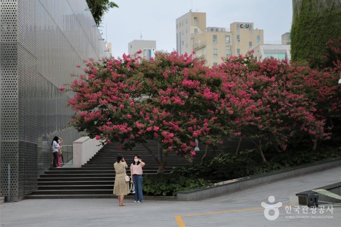 역사와 예술이 공존하는 곳, 아픔과 평화가 공존하는 곳 - 국립아시아문화전당|안심여행 캠페인