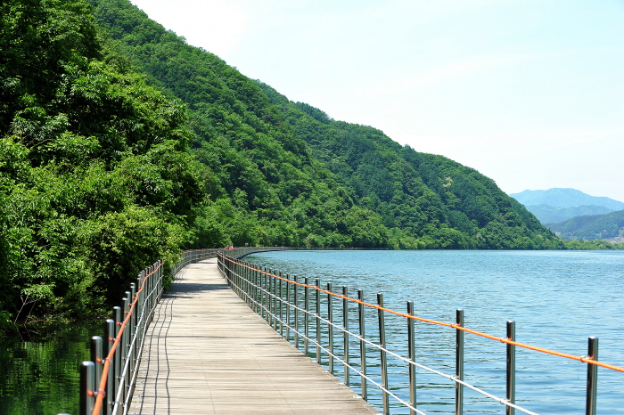 화천으로 떠나는 신나는 유기농여행 웰촌 여행 가볼만한곳