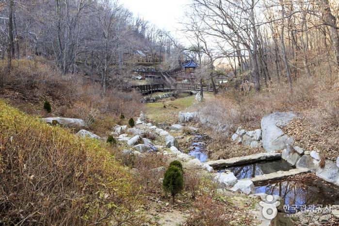 계곡을 따라 돌탑지, 암석원, 고사리원, 바위솔원 등을 꾸민 석모도수목원