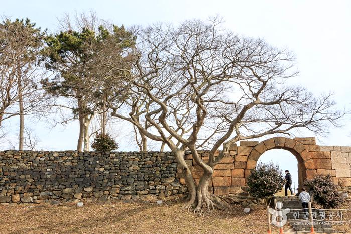보령 충청수영성에 보존된 성곽과 서문