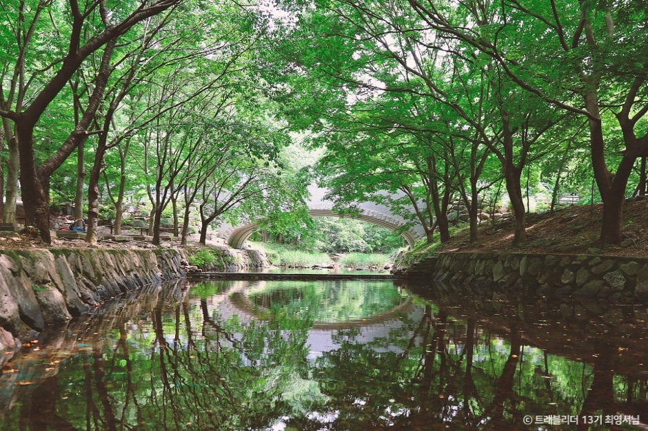 고산자연휴양림|열린 관광 모두의 여행