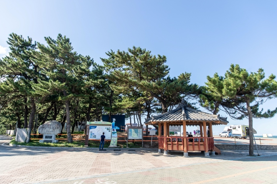 맹방해변 6
