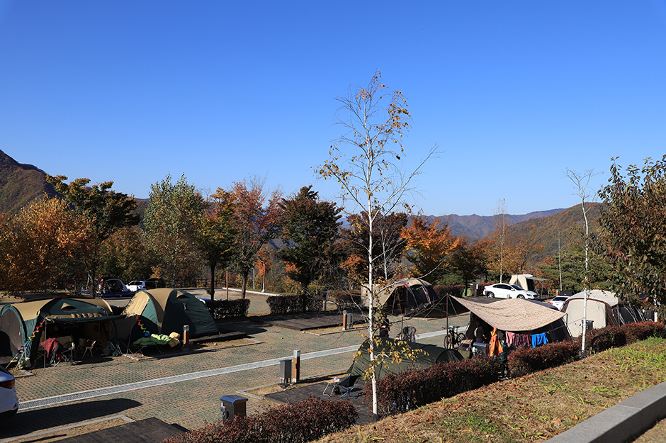 동강전망휴양림오토캠핑장> 여행지 :대한민국 구석구석 동강전망휴양림오토캠핑장> 여행지 :대한민국 구석구석 