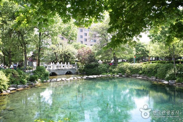 �������� �Ѱ� �߿���, Ȳ�������� �˷��> ������ :���ѹα� ��������