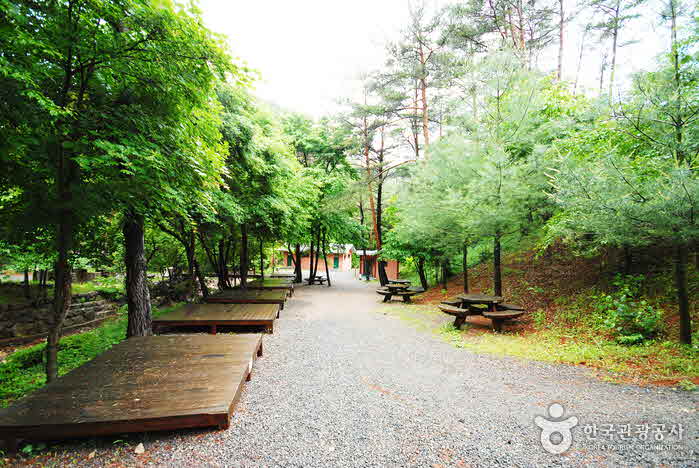 청정한 자연 속 오지 캠핑, 검마산 자연휴양림