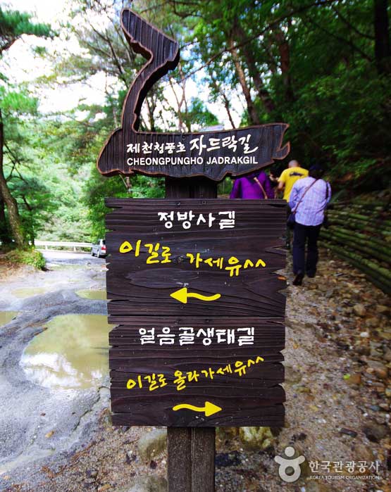 파도처럼 밀려오는 산줄기를 바라보다, 제천 청풍호 자드락길 2코스 정방사길> 여행기사 :대한민국 구석구석 파도처럼 밀려오는 산줄기를... 