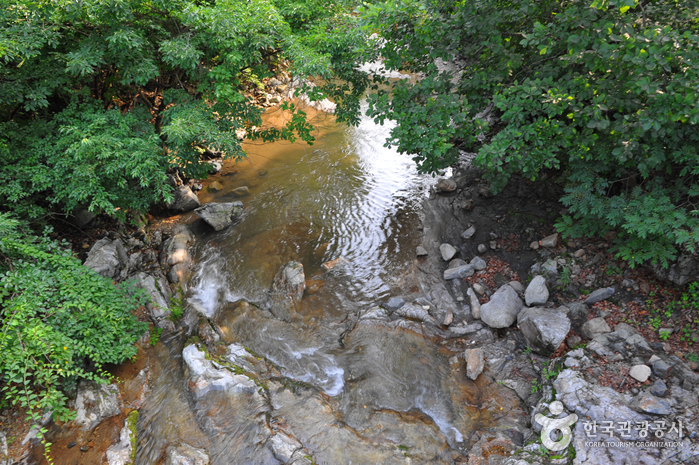 원시 자연의 아름다움을 만끽하는 홍천 계곡 여행 여행 가볼만한곳