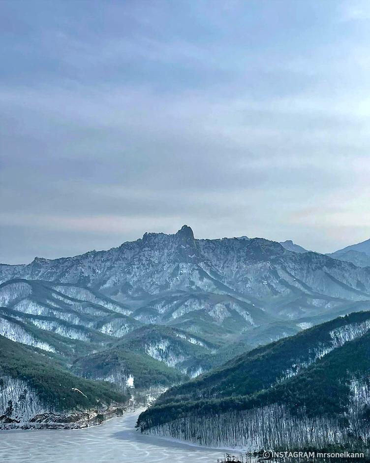 고성 소노펠리체 델피노