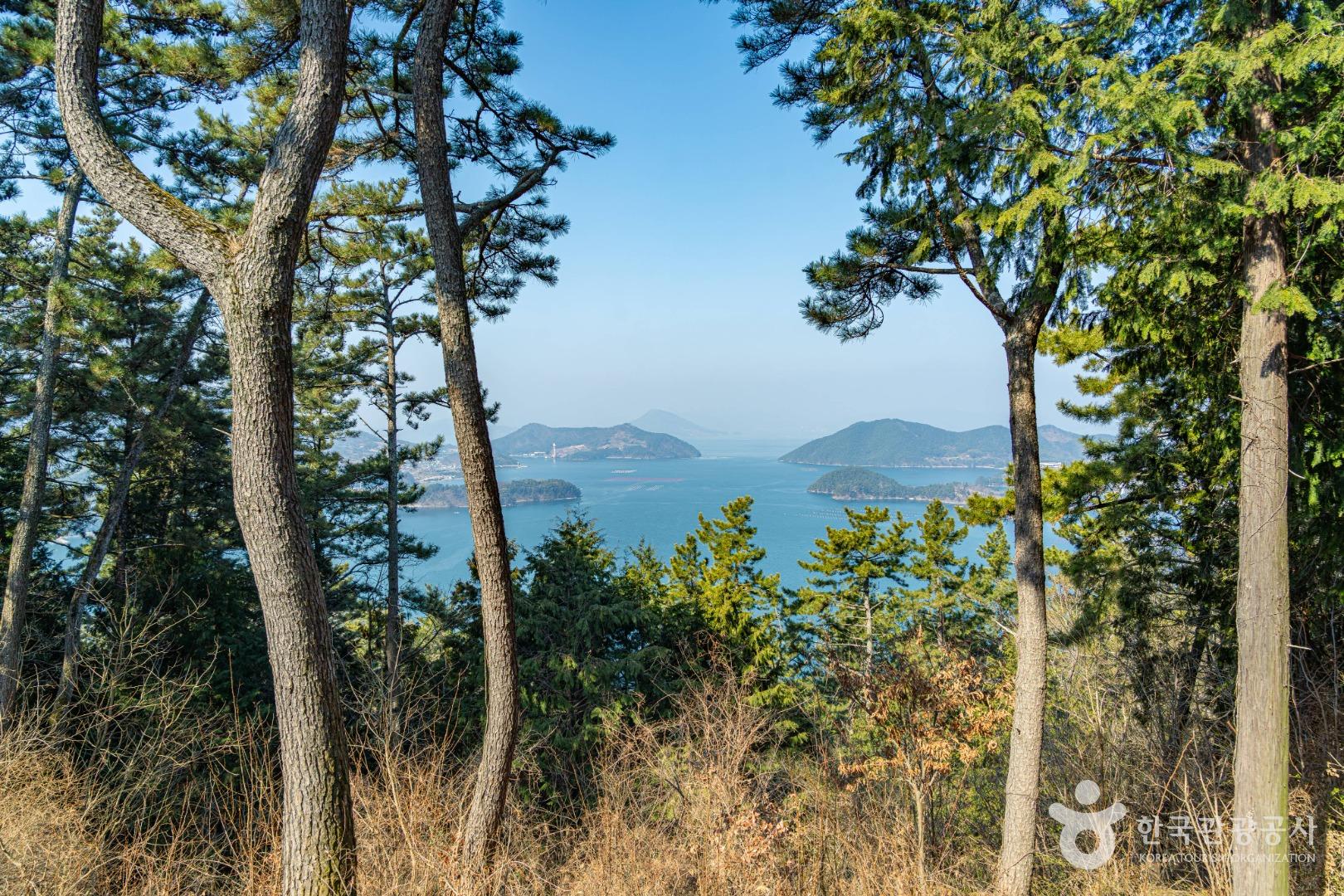 전망대에서 바라본 풍경