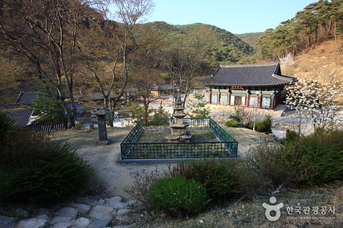 고운사 숲길도 걷고, 애플와인 체험도 하고 여행 가볼만한곳