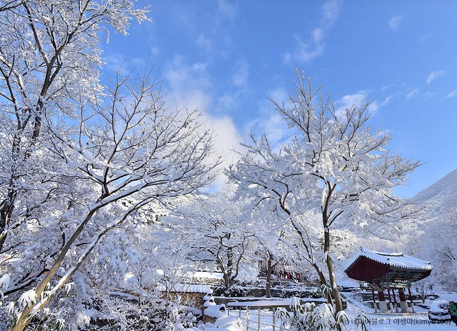 만연사의 아름다운 설경