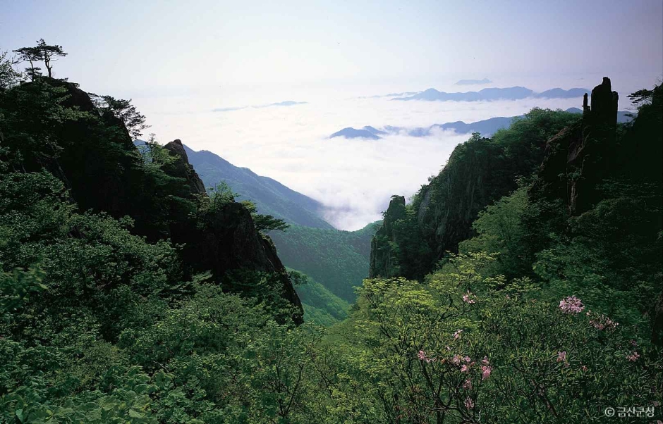 대둔산도립공원(금산)> 여행지 :대한민국 구석구석 대둔산도립공원(금산)> 여행지 :대한민국 구석구석 