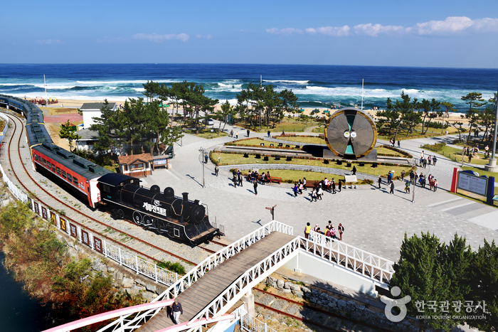 새해, 첫 일출은 정동진에서 여행 가볼만한곳