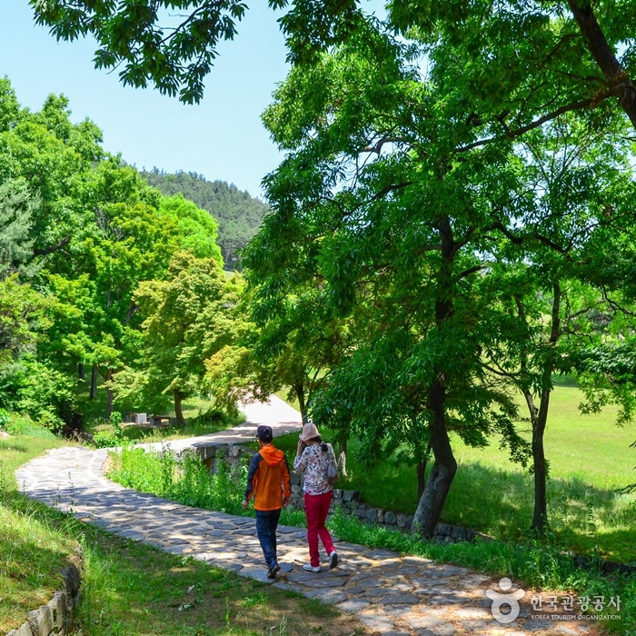 평탄해 걷기 좋은 산책길