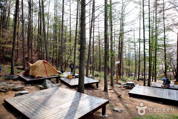 꽃비 속에 하룻밤을 청하다, 팔공산 가산산성야영장
