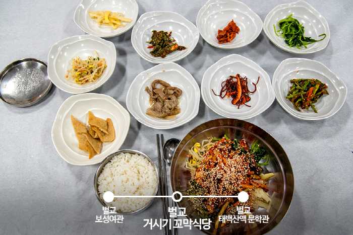 [내일로 추천코스] 역사와 자연이 숨쉬는 보성, 벌교, 순천여행|국문관광정보 - PC