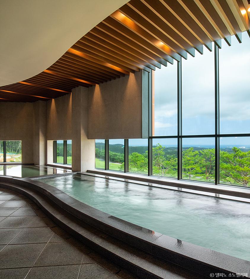 소노펠리체 델피노