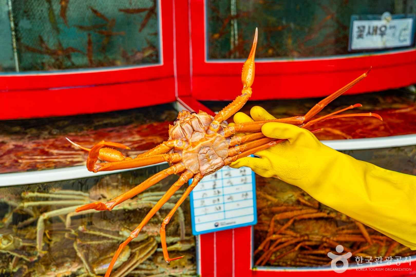 홍게