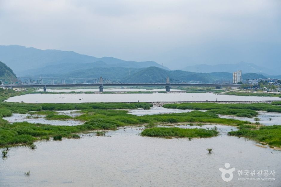 남대천(<span>양양</span>)