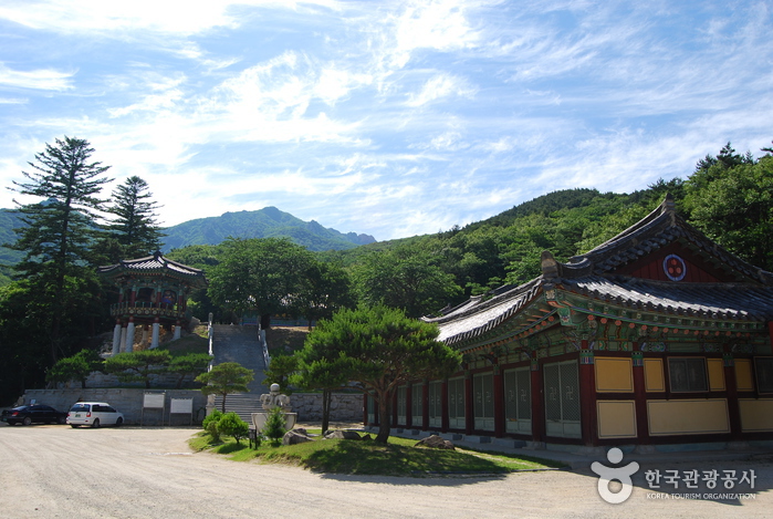 바라보고 들어서며 이어지는 여행 길 여행 가볼만한곳