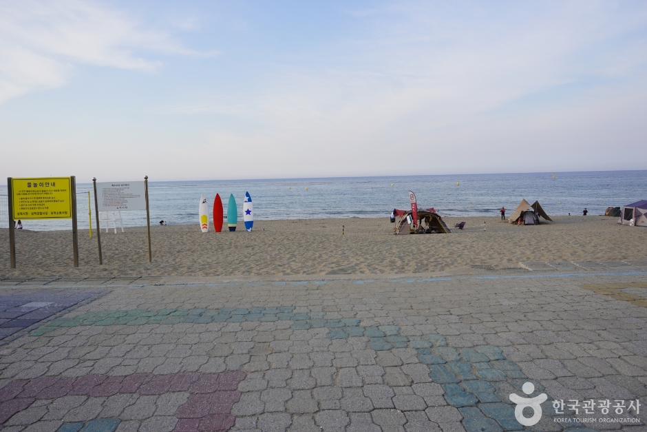 맹방해변 21