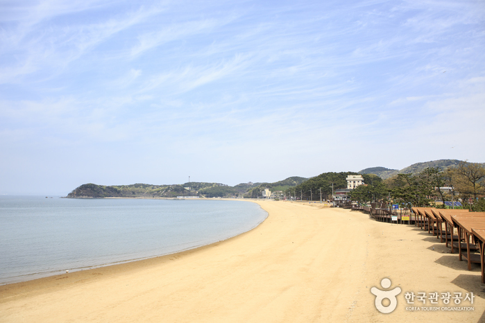 너른 해변에 캠핑과 야영 시설을 갖춘 장경리해수욕장