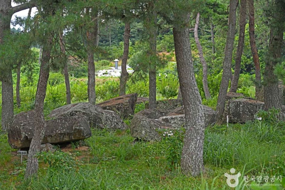 <span>영광</span> 성산리 지석묘군