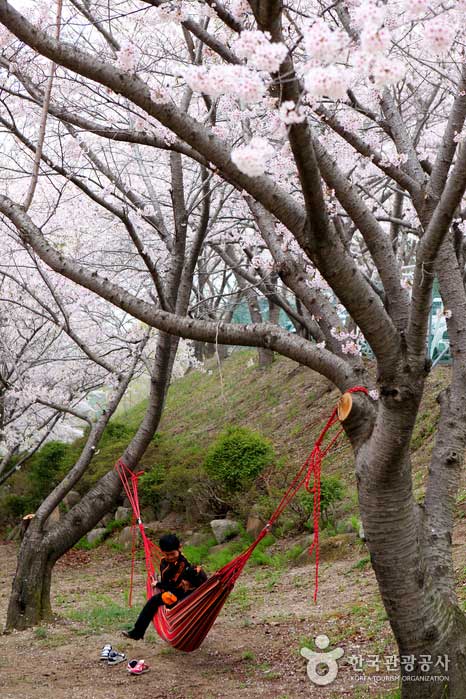 꽃비 속에 하룻밤을 청하다, 팔공산 가산산성야영장